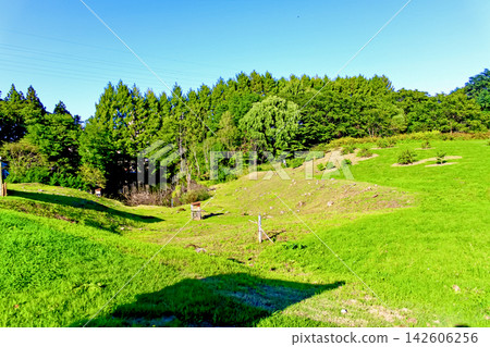 【青森】秋季三內丸山遺跡:藍天與北谷(低窪濕地) 【青森】秋季三內丸山遺跡:藍天與北谷(低窪濕地) 142606256