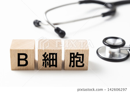 一個標有“B細胞”的積木和一個聽診器。 142606297