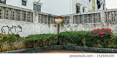 Concrete wall corner with a traffic convex mirror and pink bougainvillea flowers Concrete wall corner with a traffic convex mirror and pink bougainvillea flowers 142606300