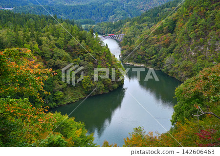 一列只見線列車駛過第一隻見川大橋，奧會津山脈開始變色。 142606463
