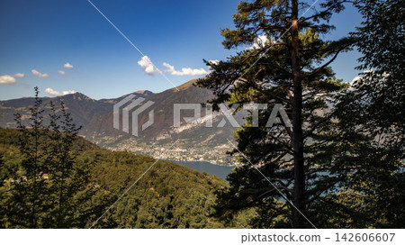 beautiful mountain landscape with fir trees beautiful mountain landscape with fir trees 142606607