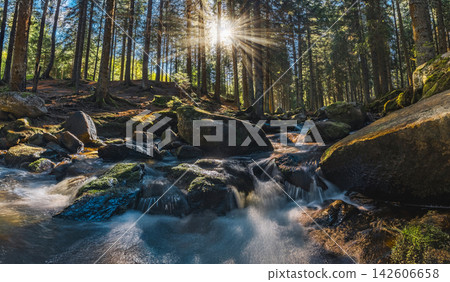 Panoramic view of the forest river flowing through a rocky forest landscape in Sumava National Park, Czech Republic, with moss-covered boulders, clear water and pristine wilderness. Panoramic view of the forest river flowing through a rocky forest landscape in Sumava National Park, Czech Republic, with moss-covered boulders, clear water and pristine wilderness. 142606658