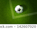 Realistic soccer ball field. 3d soccer ball on football field top view, penalty kick pitch grass stadium line background ground texture sport play banner exact vector illustration 142607020