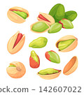 Pistachios. Cartoon pistachio, isolated nut ripe pistache shell dry pistachi nuts nutshell pistacia kernel snack vegetarian cooking healthy natural food, neat vector illustration 142607022