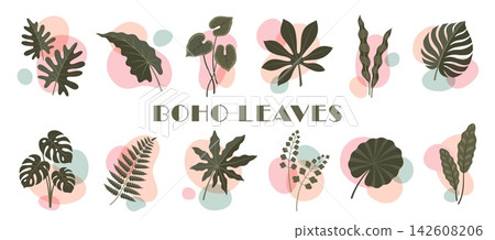 Bohemian floral tropical plants, boho organic monstera leaf with abstract geometric shapes. Modern boho art tropical leaves set of monstera, philodendron and fern, aralia, fig and calathea plants Bohemian floral tropical plants, boho organic monstera leaf with abstract geometric shapes. Modern boho art tropical leaves set of monstera, philodendron and fern, aralia, fig and calathea plants 142608206