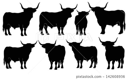 Bull silhouette vector set featuring various poses of cattle isolated on white background Bull silhouette vector set featuring various poses of cattle isolated on white background 142608936