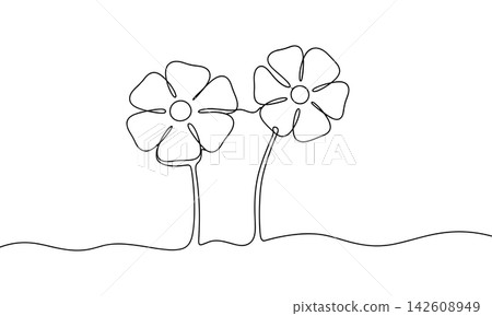 Continuous line drawing of two flowers isolated on white background Continuous line drawing of two flowers isolated on white background 142608949