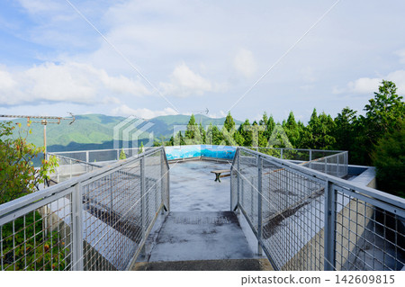 樹木大廳的觀景台 樹木大廳的觀景台 142609815