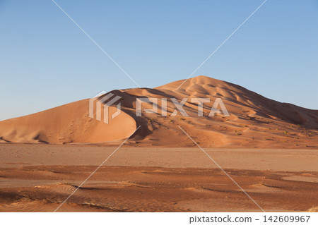 Sand dunes landscape of the Rub al-Khali desert in Dhofar, Oman Sand dunes landscape of the Rub al-Khali desert in Dhofar, Oman 142609967