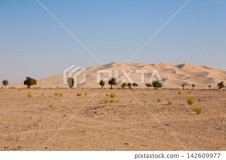 Sand dunes landscape of the Rub al-Khali desert in Dhofar, Oman Sand dunes landscape of the Rub al-Khali desert in Dhofar, Oman 142609977