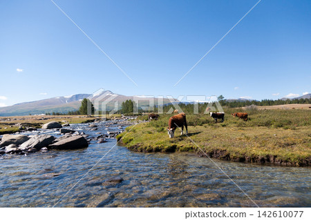 Altai Tavan Bogd National Park landscape, Mongolia Altai Tavan Bogd National Park landscape, Mongolia 142610077