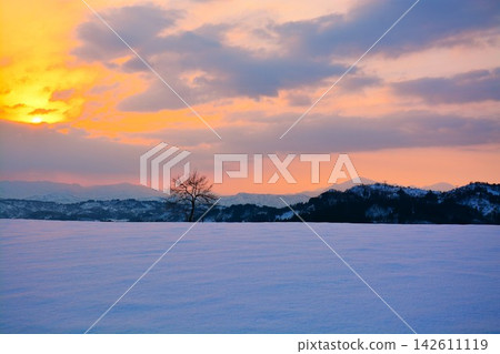 雪隘口晨曦 雪隘口晨曦 142611119