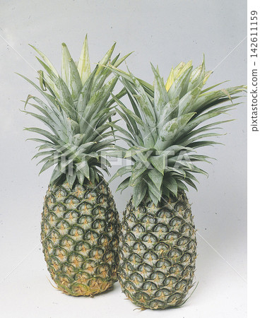 菠蘿 菠蘿 142611159