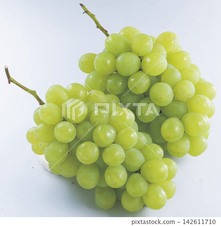 葡萄 葡萄 142611710