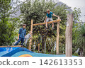 Boy climbing and balancing on outdoor playground equipment in a park with wooden posts active childhood confidence family recreation healthy movement and near viewpoint. 142613353
