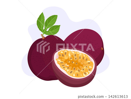 Fresh Purple Passion Fruit Half and Whole Stock Illustration 142613613