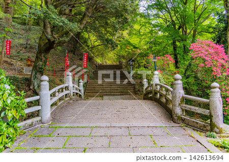 【栃木縣】唐澤山神社和聖橋上的山地杜鵑花盛開 【栃木縣】唐澤山神社和聖橋上的山地杜鵑花盛開 142613694
