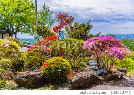 【栃木縣】唐澤山神社內的山地杜鵑花盛開 【栃木縣】唐澤山神社內的山地杜鵑花盛開 142613745