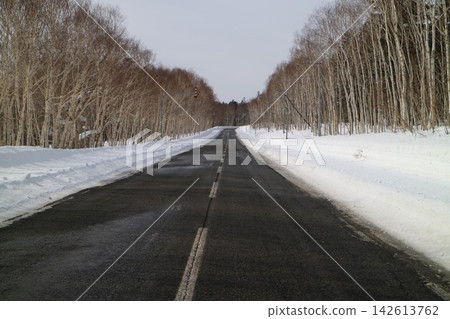北海道延輕町白瀧市延輕國道沿線的防風林。 北海道延輕町白瀧市延輕國道沿線的防風林。 142613762