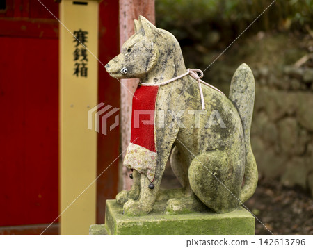 稻荷神社的守護狐狸,身穿紅色圍裙。 稻荷神社的守護狐狸,身穿紅色圍裙。 142613796