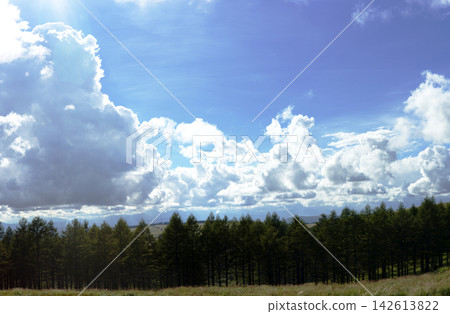 Summer blue sky and white clouds Summer blue sky and white clouds 142613822