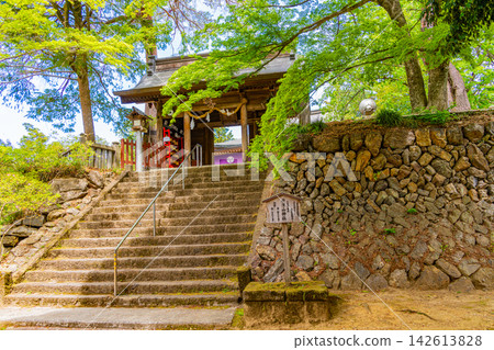 【栃木縣】綠意盎然的唐澤山神社 【栃木縣】綠意盎然的唐澤山神社 142613828