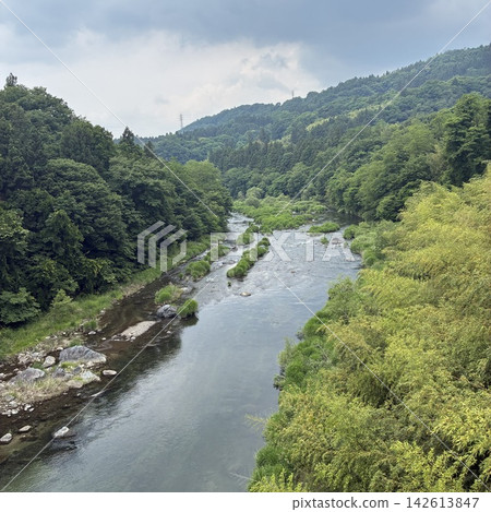 一條山間河流,周圍環繞著新鮮的綠色植物 一條山間河流,周圍環繞著新鮮的綠色植物 142613847
