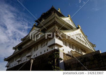 大阪城堡 142613907