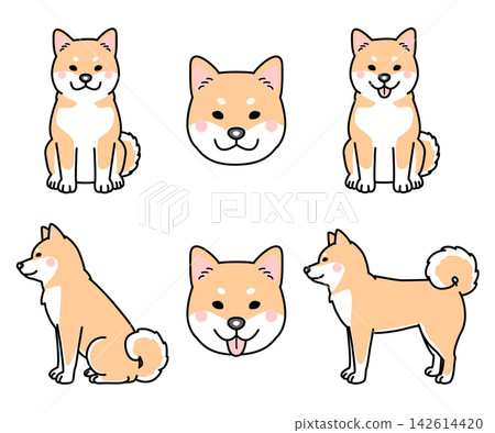 一組柴犬向量插圖 一組柴犬向量插圖 142614420