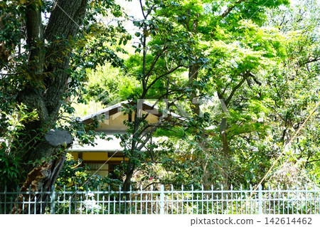 為紀念日本繪畫大師川端隆史而建的紀念館,四周綠樹環繞。 為紀念日本繪畫大師川端隆史而建的紀念館,四周綠樹環繞。 142614462