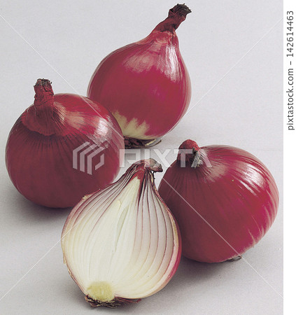 紅蔥頭 紅蔥頭 142614463