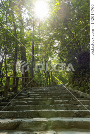 陽光傾瀉而下,灑在石階上。 陽光傾瀉而下,灑在石階上。 142614766