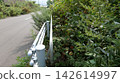 A pedestrian walkway overgrown with weeds and impassable, along with guardrails and handrails along the roadside. 142614997