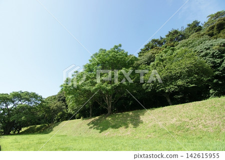 鳥取:四季漫步——青島——夏季 鳥取:四季漫步——青島——夏季 142615955