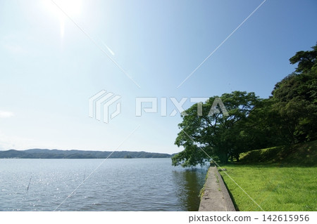 鳥取:四季漫步——青島——夏季 鳥取:四季漫步——青島——夏季 142615956