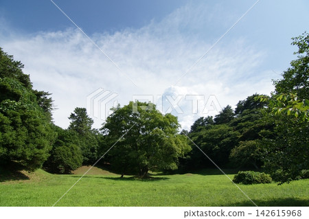 鳥取:四季漫步——青島——夏季 鳥取:四季漫步——青島——夏季 142615968