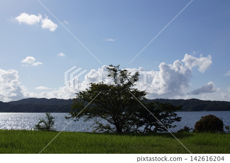 鳥取:四季漫步——青島——夏季 鳥取:四季漫步——青島——夏季 142616204