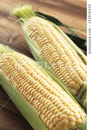 Corn Corn 142616434