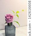 A single rose 142616608