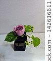 Lovely roses 142616611