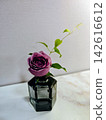 Beloved rose 142616612