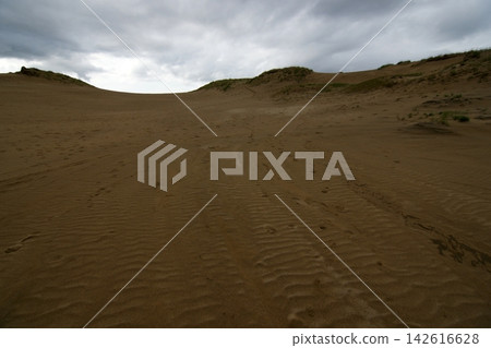 Tottori: A walk through the four seasons - Summer - Tottori Sand Dunes Tottori: A walk through the four seasons - Summer - Tottori Sand Dunes 142616628