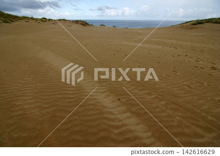 Tottori: A walk through the four seasons - Summer - Tottori Sand Dunes Tottori: A walk through the four seasons - Summer - Tottori Sand Dunes 142616629