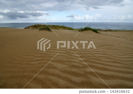 Tottori: A walk through the four seasons - Summer - Tottori Sand Dunes 142616632