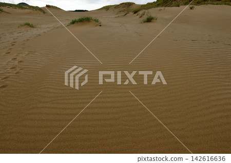 Tottori: A walk through the four seasons - Summer - Tottori Sand Dunes Tottori: A walk through the four seasons - Summer - Tottori Sand Dunes 142616636