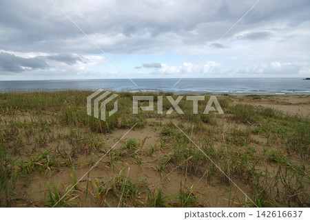 Tottori: A walk through the four seasons - Summer - Tottori Sand Dunes Tottori: A walk through the four seasons - Summer - Tottori Sand Dunes 142616637