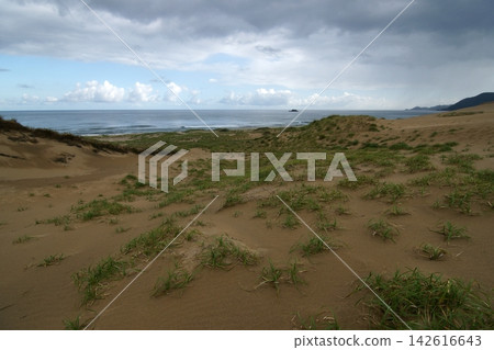 Tottori: A walk through the four seasons - Summer - Tottori Sand Dunes Tottori: A walk through the four seasons - Summer - Tottori Sand Dunes 142616643