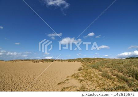 Tottori: A walk through the four seasons - Summer - Tottori Sand Dunes Tottori: A walk through the four seasons - Summer - Tottori Sand Dunes 142616672
