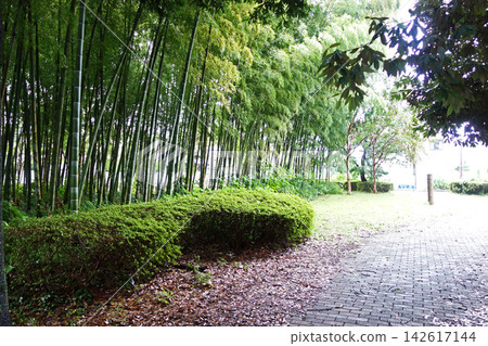 東京都武藏野公園的分館(東京都小金井市) 東京都武藏野公園的分館(東京都小金井市) 142617144