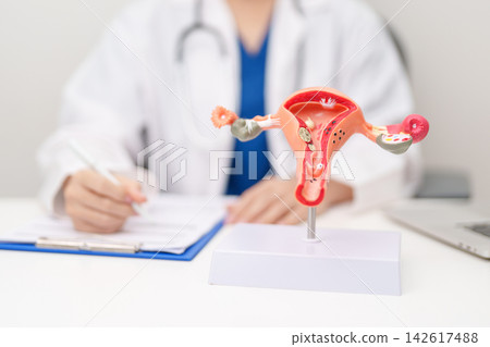Doctor with Uterus and Ovaries anatomy model. Ovarian and Cervical cancer, Cervix disorder, Endometriosis, Hysterectomy, Uterine fibroids, Reproductive system, Pregnancy and health concept Doctor with Uterus and Ovaries anatomy model. Ovarian and Cervical cancer, Cervix disorder, Endometriosis, Hysterectomy, Uterine fibroids, Reproductive system, Pregnancy and health concept 142617488
